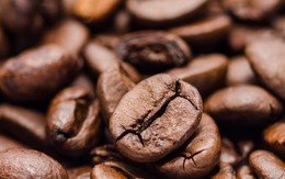 Giá cà phê kỳ hạn thế giới biến động trái chiều, giá cà phê trong nước vẫn trì trệ trước thềm vụ mới
