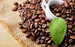 Xuất khẩu cà phê tiếp tục giảm