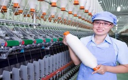 FTM - Động lực tăng trưởng mới của từ Nhà máy số 4 và mảng dệt