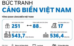 Infographic: Bức tranh cảng biển Việt Nam
