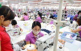Một số hàng Việt xuất khẩu sang EAEU nguy cơ bị tăng thuế