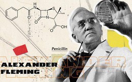 Ngày này đúng 90 năm về trước: có phải Alexander Fleming đã mở ra kỷ nguyên kháng sinh?