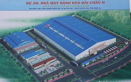 Nghệ An: Cấp mới 82 dự án đầu tư tổng vốn hơn 7.500 tỷ đồng