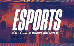 Sự trỗi dậy của eSports: môn thể thao hoàn toàn mới sinh ra từ công nghệ