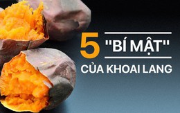 Khoai lang là "siêu" thực phẩm tuyệt vời: Đừng quên 5 lời khuyên quan trọng trước khi ăn