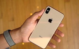 Nhiều người dùng iPhone Xs và Xs Max bị lỗi sạc