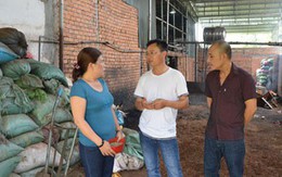 Kết luận điều tra vụ hồ tiêu trộn pin ở Đắk Nông