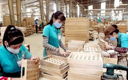 Mối nguy lớn khi đồ gỗ Trung Quốc “đội lốt” hàng Việt để xuất khẩu