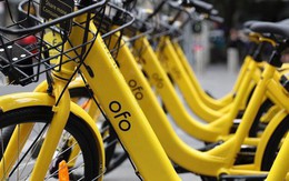 Công ty cho thuê xe đạp Ofo của Trung Quốc đang bị kiện vì nợ gần 10 triệu USD tiền sản xuất xe