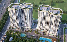 Căn hộ Ruby City CT3 Long Biên chỉ từ 920 triệu đồng