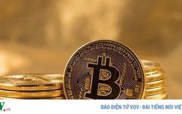 Coi Bitcoin là công cụ kinh doanh, 95% doanh nghiệp thất bại?