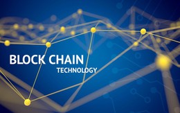 Kẻ vô danh này vừa kiếm bộn tiền nhờ ùa theo cơn sốt blockchain và tiền số