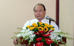Thủ tướng làm việc với Tập đoàn Công nghiệp Cao su Việt Nam