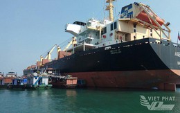 Những con số đáng nể của Việt Phát - doanh nghiệp tiềm năng của Hải phòng