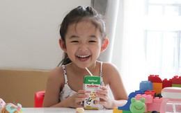 Chuyện người tiên phong khai phá thị trường sữa bột pha sẵn tại Việt Nam
