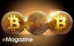 Triển vọng thị trường bitcoin 2018: Bong bóng 300 tỷ USD sẽ đi về đâu?