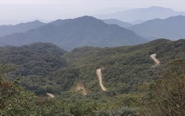Thành lập Vườn quốc gia Phia Oắc - Phia Đén tại Cao Bằng