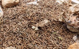 Chủ cơ sở phế liệu tiết lộ nguồn gốc 6 tấn đầu đạn vừa được phát hiện ở Hưng Yên