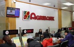 Agribank báo lãi trước thuế hơn 5.000 tỷ trong năm 2017