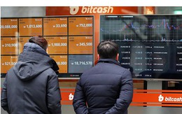 Giữa cơn bão màu đỏ, nhà đầu tư bitcoin ngậm ngùi nhìn về một thời đã xa