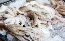 Mỹ nhập khẩu nhiều mực, bạch tuộc từ Việt Nam