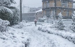 Những hình ảnh rùng mình trong bão tuyết kỷ lục tại Tokyo: Hàng trăm chuyến bay bị hủy, xe đạp đóng băng ngoài trời