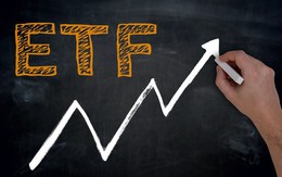 VnIndex chuẩn bị vượt đỉnh 2007, Quỹ ETF nội bất ngờ thu hút vốn lớn hơn V.N.M ETF và FTSE Vietnam ETF cộng lại