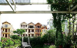 Nhà cải tạo đa chức năng với vườn xanh trên mái