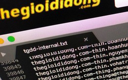 Hacker tung phần tiếp theo trong kho dữ liệu được cho là hack từ TGDĐ: Có đủ số thẻ, không hề bị ẩn