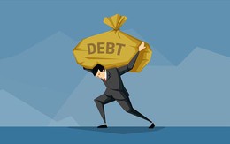HVG, TTF, HAG: Gánh nặng nợ giảm, đường hồi sinh ra sao?