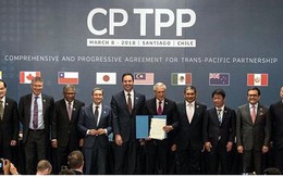 Thực thi Hiệp định CPTPP cần sự gấp rút của các Bộ, ngành