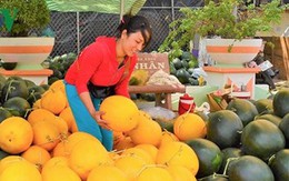 Giá trị xuất khẩu nông sản Việt đứng thứ 15 trên thế giới