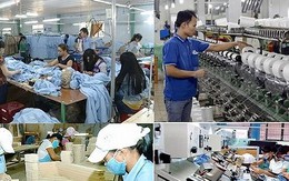 Vào CPTPP, doanh nghiệp Việt hãy “đào mỏ vàng” thị trường nội trước