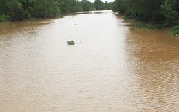 Cựu giám đốc Sở Nông nghiệp Bến Tre bị khai trừ Đảng