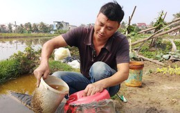 Vụ hàng nghìn lít dầu tràn ở Thanh Hóa: Dân làng đổ xô mang can ra hớt dầu