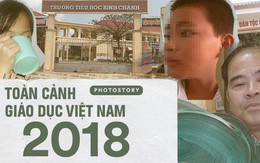 Giáo dục Việt Nam 2018: Chưa bao giờ xảy ra nhiều bê bối dâm ô, đánh đập học sinh như vậy!