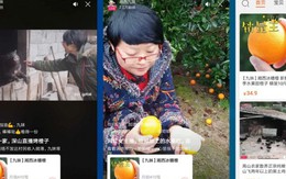 Nông dân Trung Quốc livestream, bán hết 1.000 tấn cam trong 13 ngày