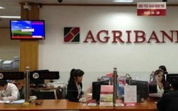 Agribank mong sớm được cổ phần hóa