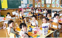 Chính phủ Nhật Bản miễn phí cho giáo dục mầm non và đại học