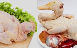 Thịt gà có bổ hơn thịt vịt: Chuyên gia dinh dưỡng chỉ điểm khác duy nhất