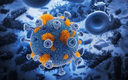 Chủng virus kì diệu này có thể tăng cường hệ miễn dịch, đồng thời tấn công khối u ung thư