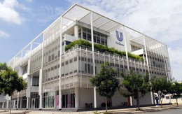 Unilever nợ 575 tỷ tiền thuế, lãnh đạo Thuế kiến nghị Chính phủ chỉ đạo vì nằm ngoài thẩm quyền