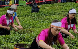 Việt Nam công bố 13 sản phẩm nông nghiệp chủ lực quốc gia