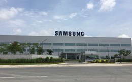Chủ tịch tỉnh Thái Nguyên: Xem Samsung là ong chúa để ứng xử!