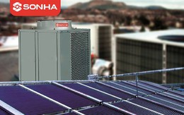 SHE - cổ phiếu "gà đẻ trứng vàng" của tập đoàn Sơn Hà