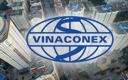 Thâu tóm xong Vinaconex, nhóm An Quý Hưng đang nắm trong tay quỹ đất lớn cỡ nào?