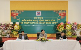 Năm 2018, Tập đoàn DIC lãi trước thuế 436 tỷ đồng, tăng trưởng 170,8%