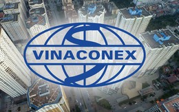Không còn doanh thu tài chính đột biến, Vinaconex báo lãi quý 4/2018 giảm sâu 73%