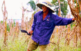 Cùng xây ước mơ mùa 2: Sự trở lại đầy mới mẻ và đậm tính nhân văn