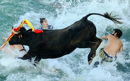 Cổ phiếu ngân hàng “hạ nhiệt”, Vn-Index đảo chiều giảm điểm trong phiên chiều